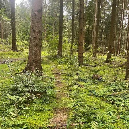 Forest Woodhome